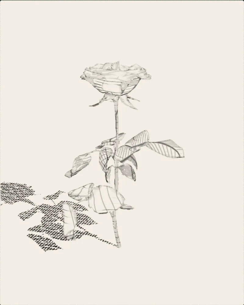 An engraved still of the model: a red rose with toothed leaves, drawn in hatched lines on parchment.